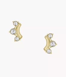 Product image of Fossil JF04596710 ქალის საყურე
