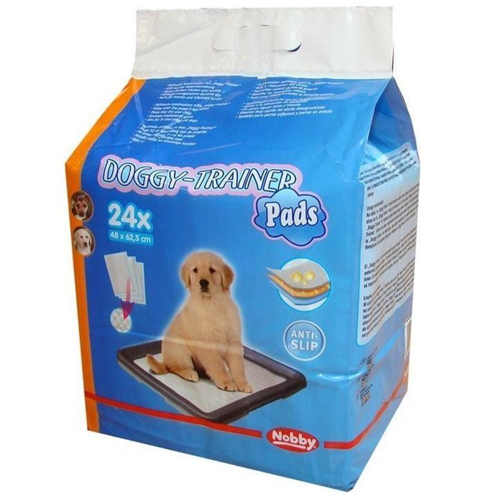 nobby-dzaghlis-satsrtvneli-safeni-24ts