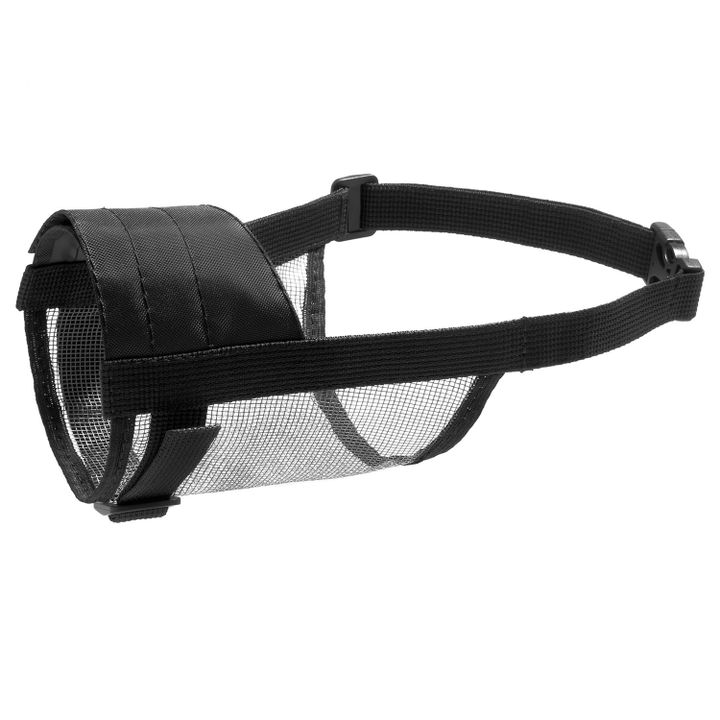 dog-extreme-2-badiani-regulirebadi-neilonis-alikapi-19-26-sm-photo-4