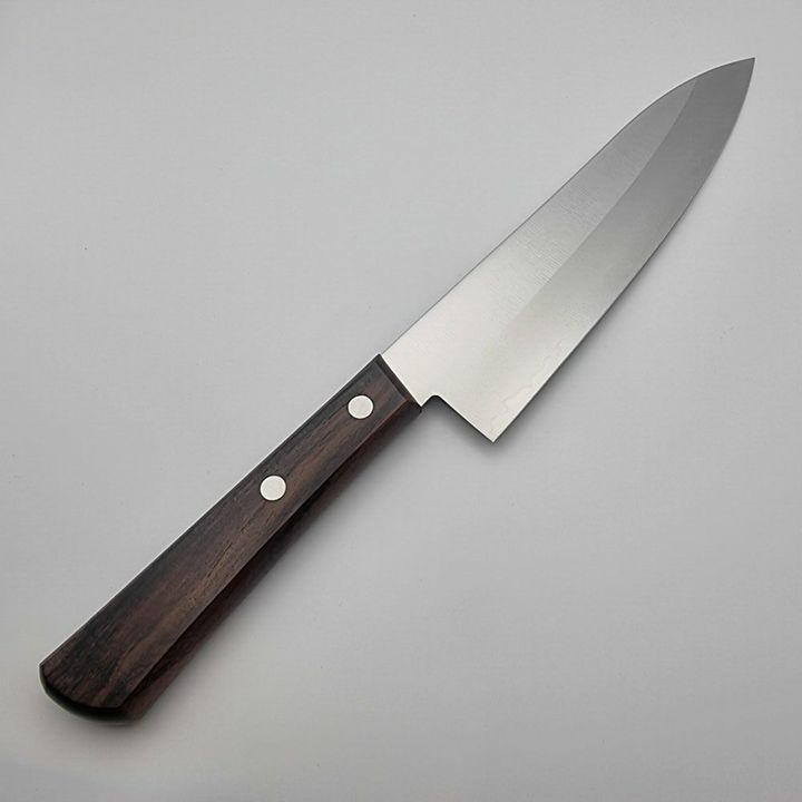 kanetsugu-miyabi-issin-chefs-knife-210mm-dana-photo-2