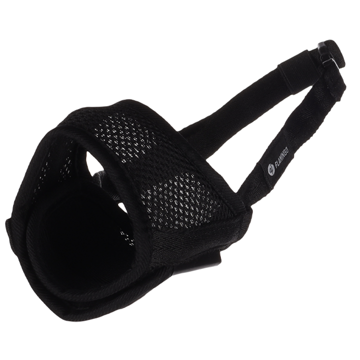 flamingo-dzaghlis-alikapi-photo-2