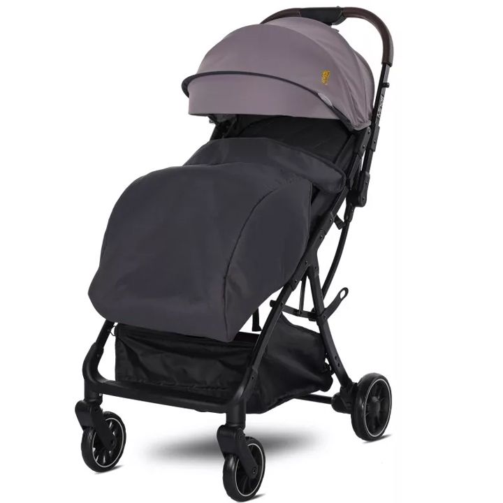 lorelli-minori-sabavshvo-etli-photo-2