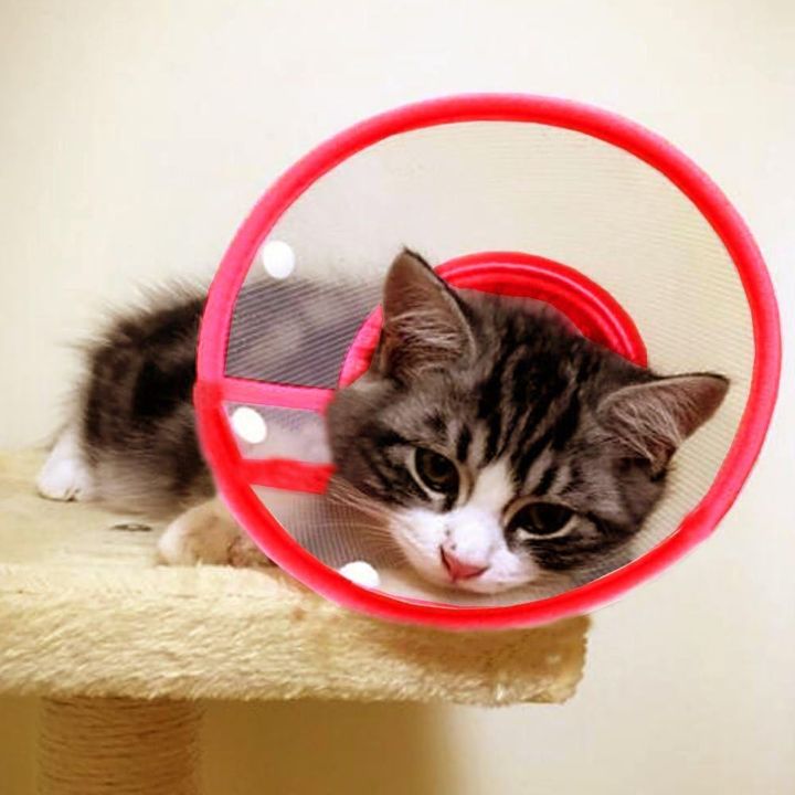 pet-anti-bite-headgear-neck-red-saqelo-photo-4