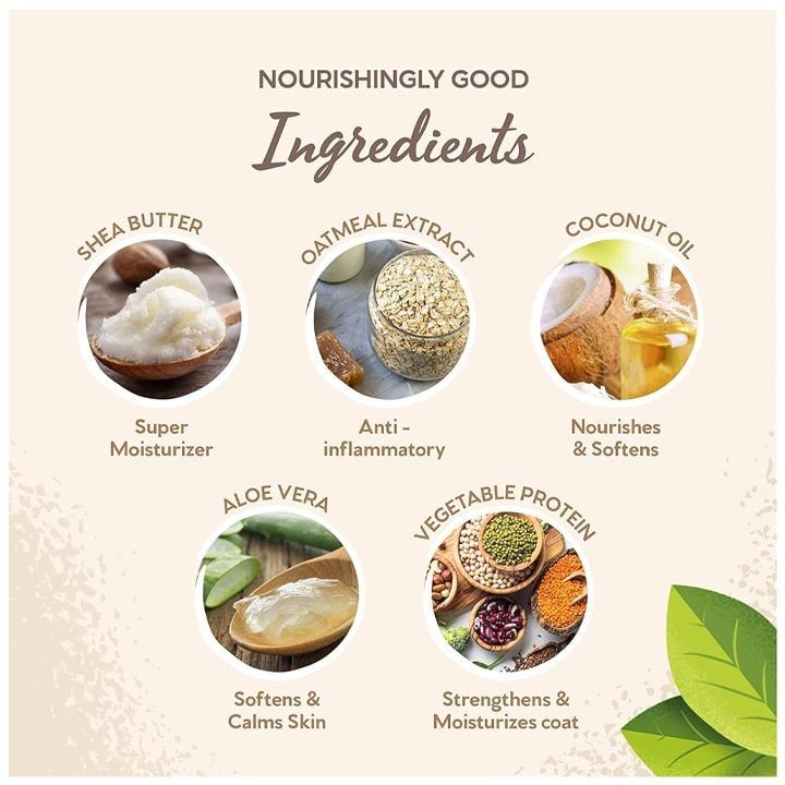 pet-head-tatebis-da-drunchis-balzami-dzaghlebistvis-da-katebistvis-photo-4