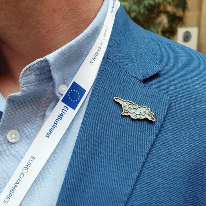 brinjaos-broshi-saqartvelo-photo-3