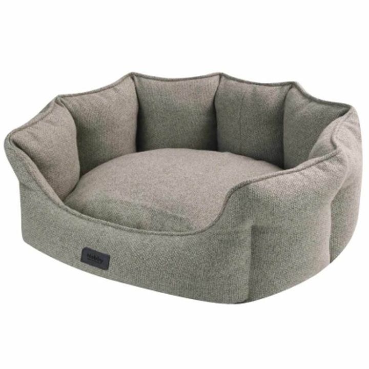 nobby-anda-dzaghlis-satsoli