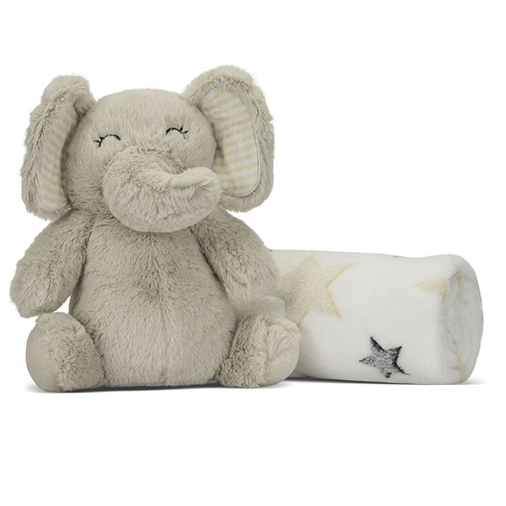 lorelli-pledi-da-satamasho