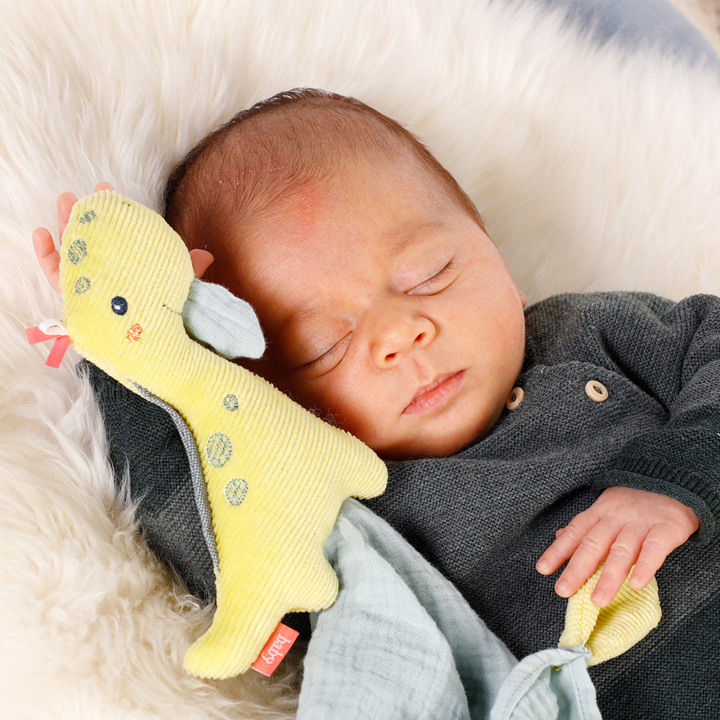 fehn-baby-comforter-dino-chvilis-satamasho-photo-3