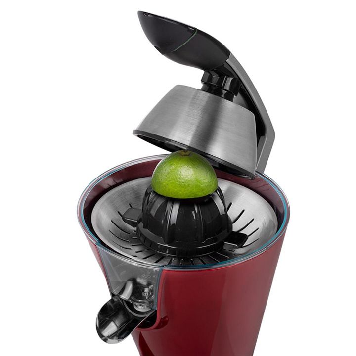 princess-tsitrusis-tsvensatsuri-photo-3