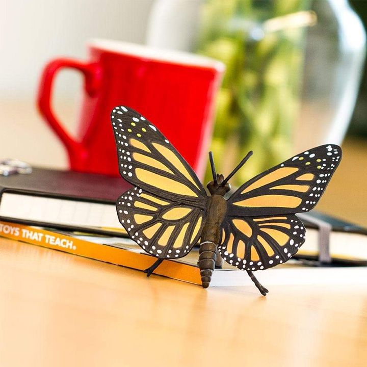 safari-monarch-butterfly-satamasho-figura-photo-4
