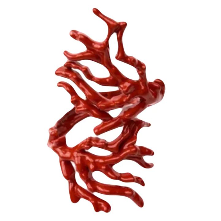 frida-clawra-bechedi