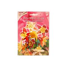 Product image of აკვილეგიას თესლი Aquilegia Hybrid in MIX FI501-MAXIFlor