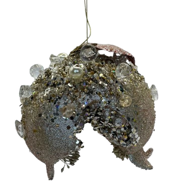 nadzvis-khis-satamasho-brotseuli-photo-4