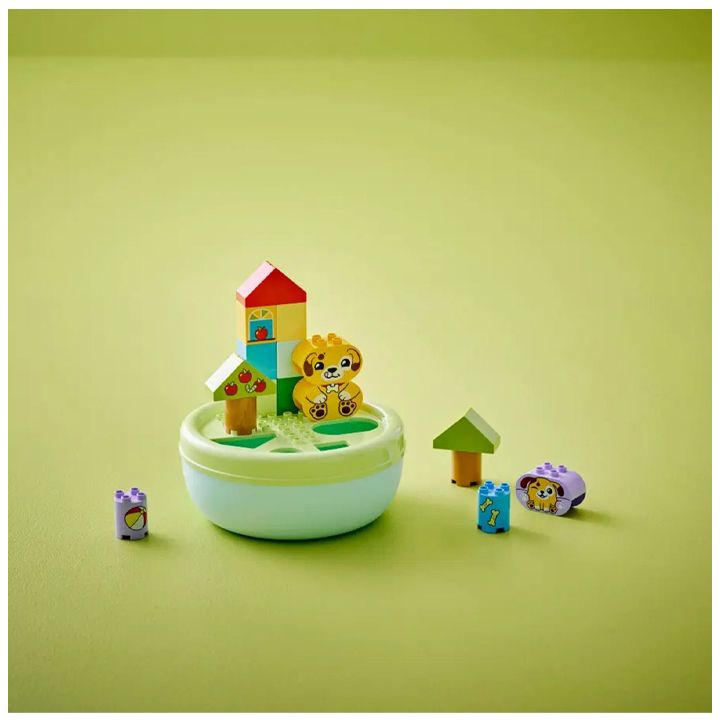 lego-duplo-shape-sorter-puppy-house-konstruqtori-photo-2