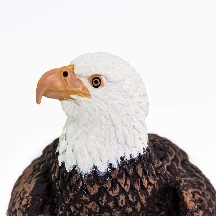 safari-bald-eagle-toy-satamasho-figura-photo-4