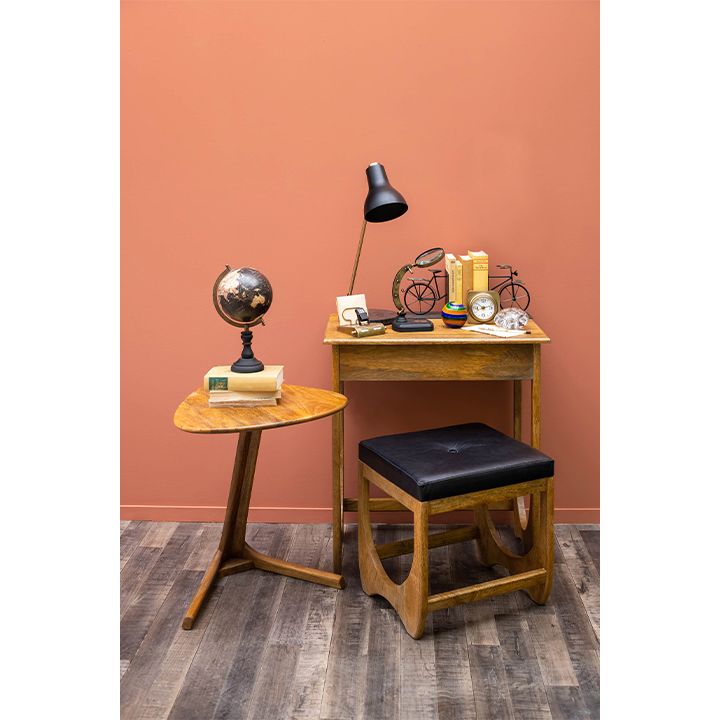 chehoma-globusi-sadgamit-photo-3