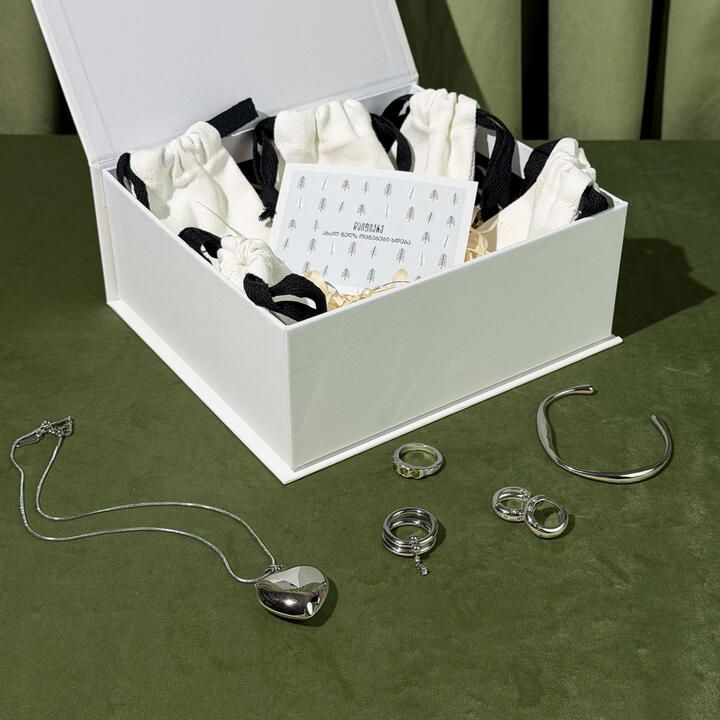 saakhaltslo-sasachuqre-boqsi-silver-edition