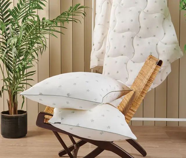 puffy-aloe-vera-50x70sm-balishi-photo-4