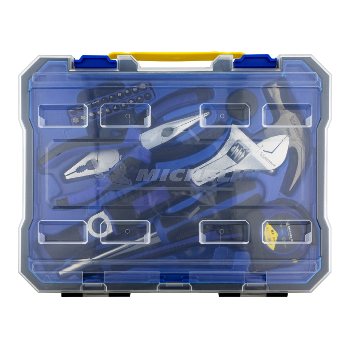 michelin-33344-profesionaluri-khelsatsqoebis-nakrebi-29-tsali