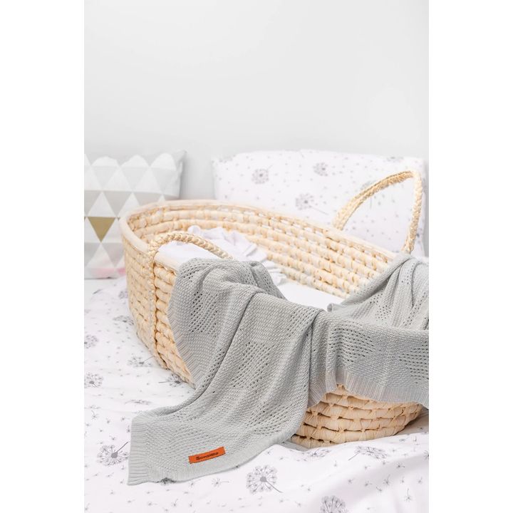 sensillo-sabavshvo-pledi-photo-4