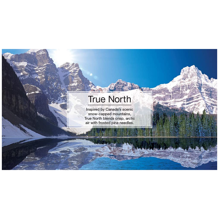 little-trees-vent-liquid-true-north-manqanis-aromatizatori-photo-4