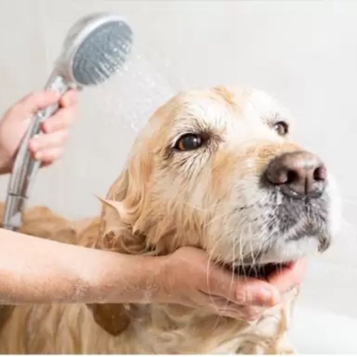 m-pets-long-hair-grdzeli-betsvis-shampuni-250-ml-photo-2