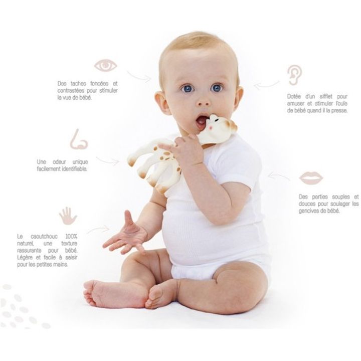 sophie-la-girafe-chvilis-satamasho-zhirafi-photo-3