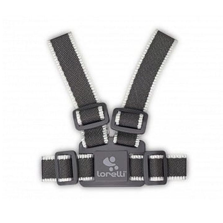 lorelli-bavshvis-satarebeli-ghvedi