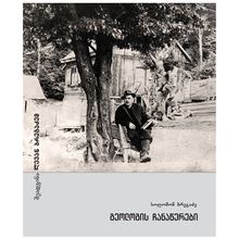 Product image of სოლომონ ბრეგაძე - გეოლოგის ჩანაწერები