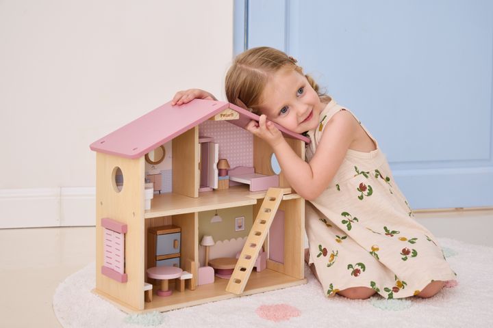 khis-satamasho-sakhli-photo-2