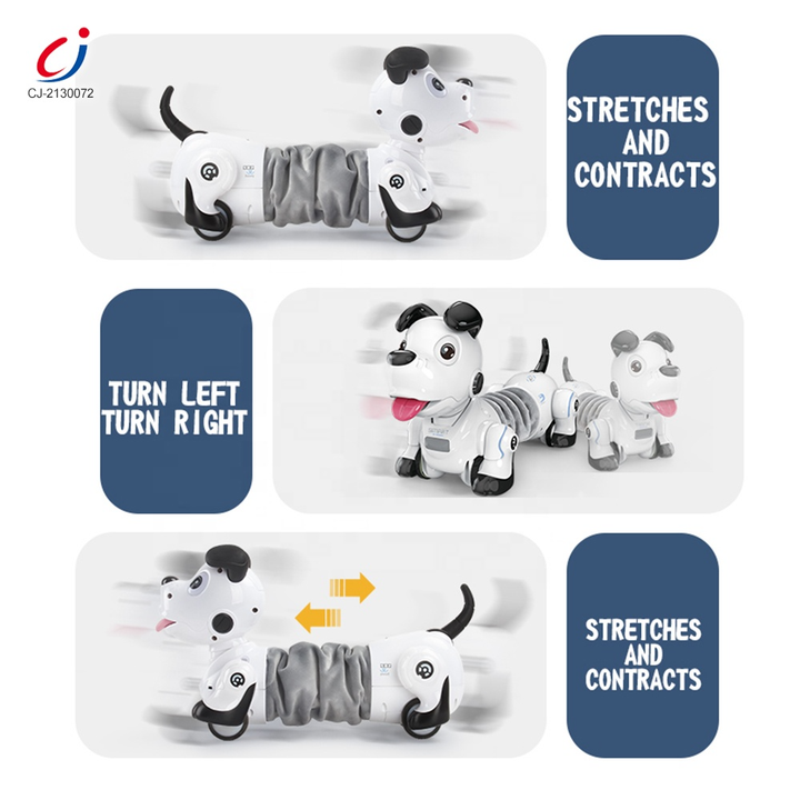 satamasho-roboti-dzaghli-photo-4