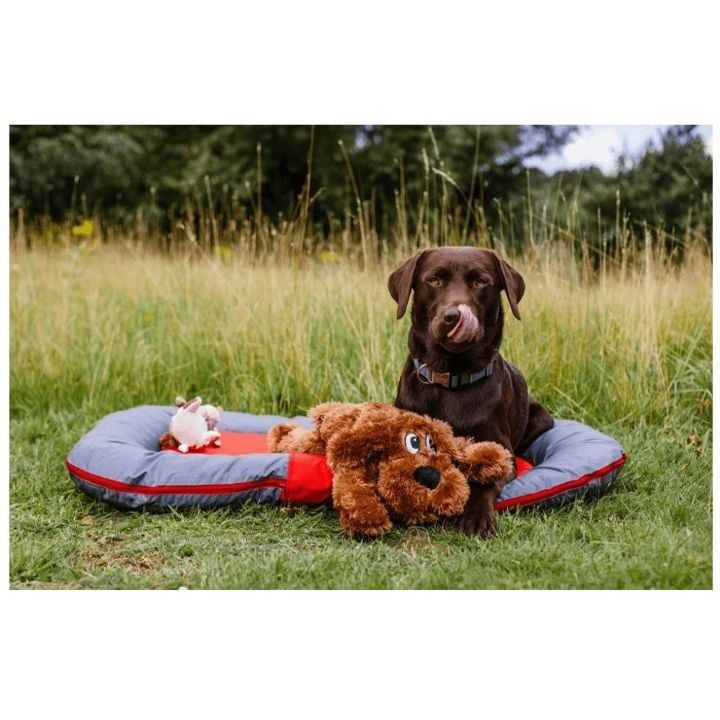 nobby-dzaghlis-balishi-photo-3