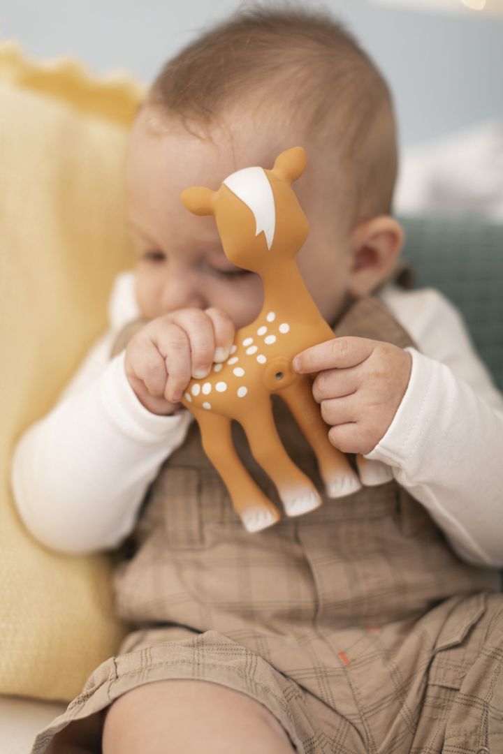 sophie-la-girafe-iremi-fanfani-photo-3