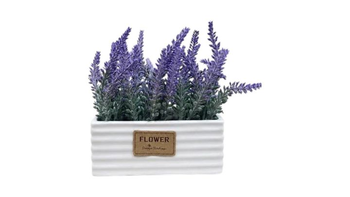 nisse-khelovnuri-lavanda-tetri-qotnit