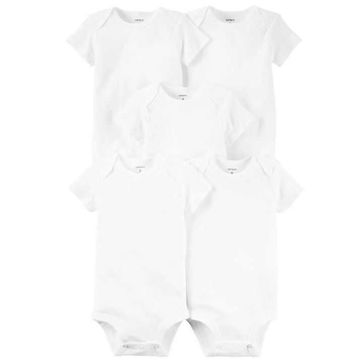 carters-bodeebis-nakrebi