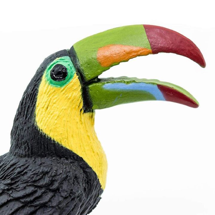 safari-toucan-toy-satamasho-figura-photo-4