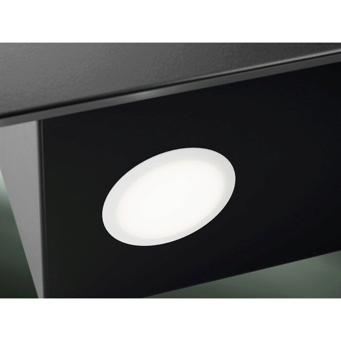 gamtsovi-electrolux-lfv616k-photo-2