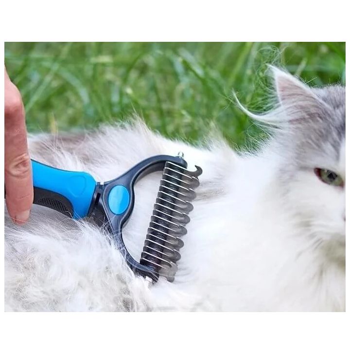 shinauri-tskhovelis-savartskheli-photo-4