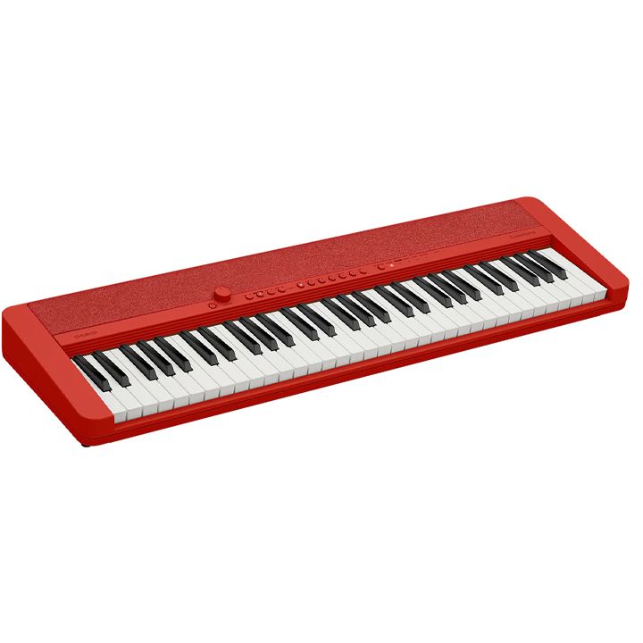 casio-ct-s1rdc2-with-adapter-eleqtro-klaviatura-photo-2