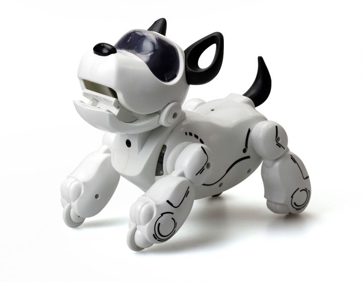 silverlit-robot-pupbo-roboti-dzaghli-photo-4
