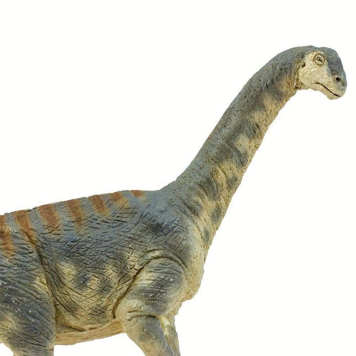 safari-camarasaurus-satamasho-figura-photo-4