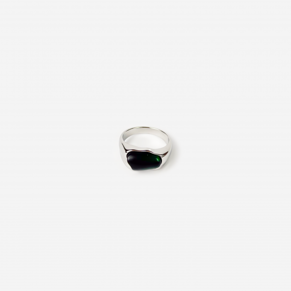 titanis-mooqrovili-bechedi-mtsvane-tvlit-photo-2