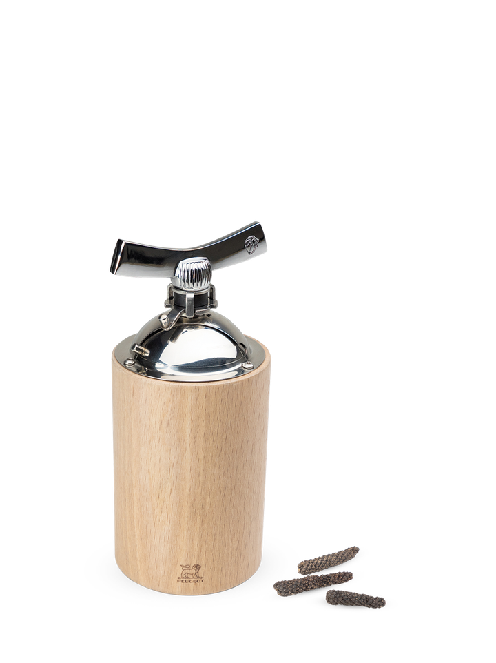 peugeot-safqvavi-pilpilis-martsvlebistvis