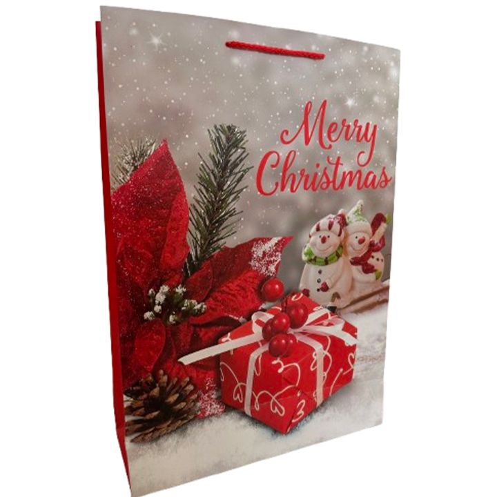 saakhaltslo-sasachuqre-chanta-merry-christmas-photo-2