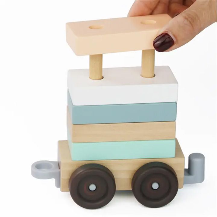 montessori-train-gansavitarebeli-satamasho-matarebeli-photo-3