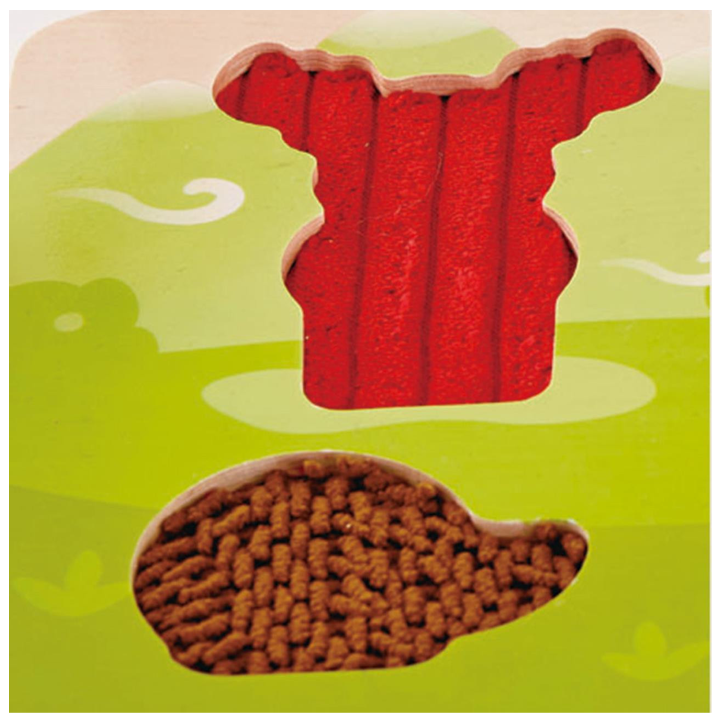 hape-khis-fazli-photo-2