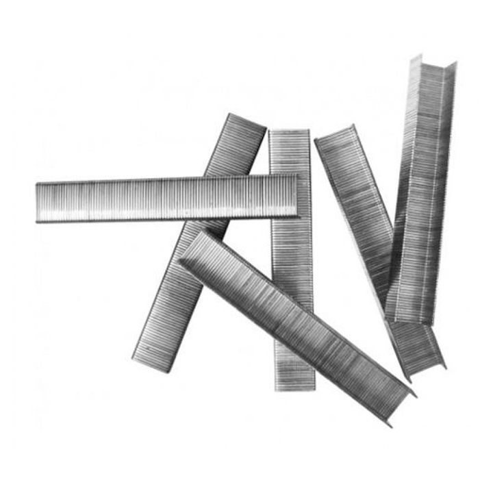 ingco-stepleris-tqvia-photo-2