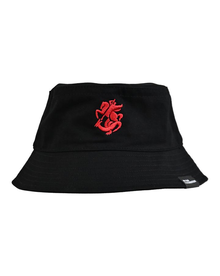 erovnuli-nakrebis-panama-shavi