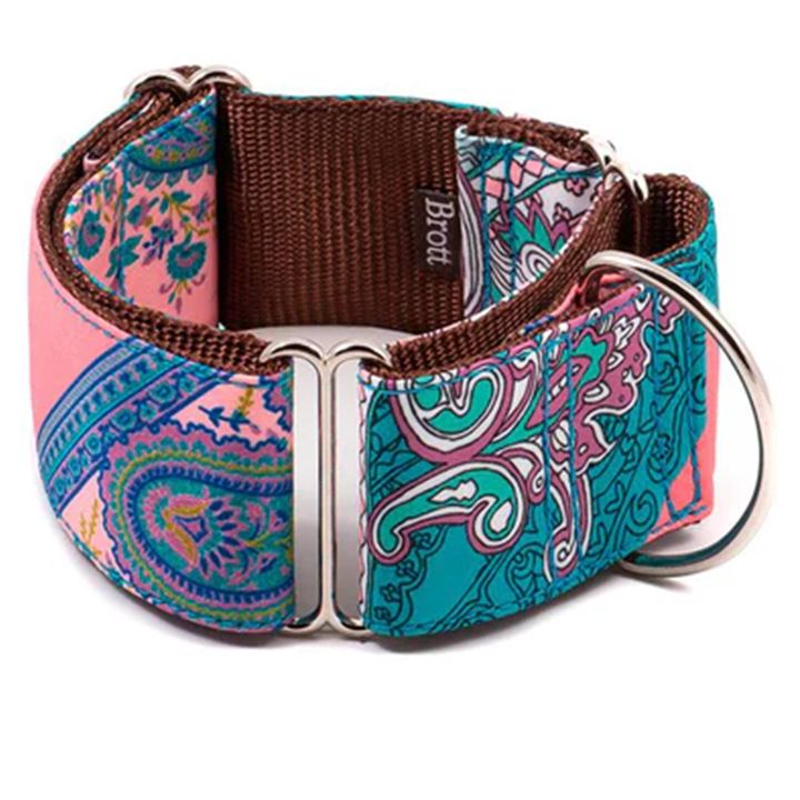 brott-dzaghlis-saqelo-photo-2