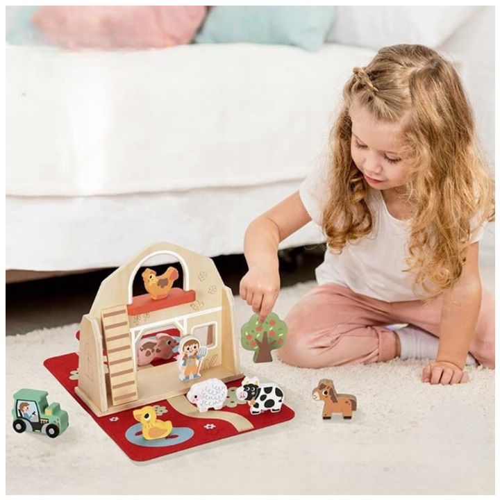 tooky-toy-ferma-satamasho-nakrebi---patara-sofeli-didi-istoriebit-photo-2